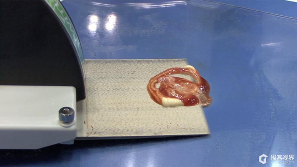 铲屎神器啊,我实在太需要这个了!!!