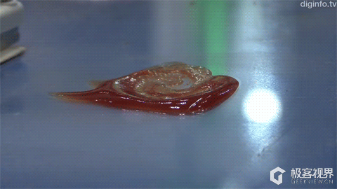 铲屎神器啊,我实在太需要这个了!!!