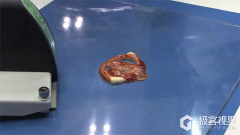 铲屎神器啊,我实在太需要这个了!!!