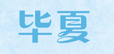 bisoy是什么牌子_毕夏品牌怎么样?