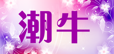 潮牛是什么牌子_潮牛品牌怎么样?
