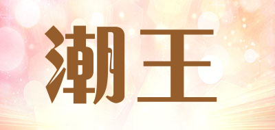 潮王是什么牌子_潮王品牌怎么样?