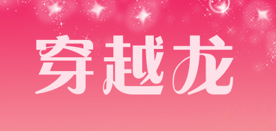 穿越龙是什么牌子_穿越龙品牌怎么样?