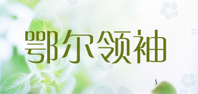 鄂尔领袖是什么牌子_鄂尔领袖品牌怎么样?