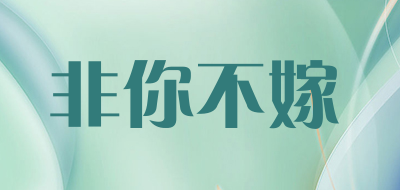 非你不嫁是什么牌子_非你不嫁品牌怎么样?