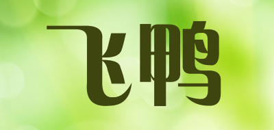 飞鸭是什么牌子_飞鸭品牌怎么样?