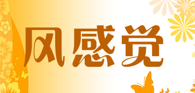风感觉是什么牌子_风感觉品牌怎么样?