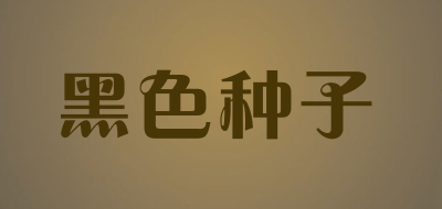 Black seeds是什么牌子_黑色种子品牌怎么样?