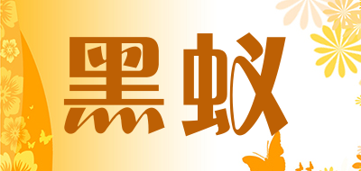 BLACK-ANT是什么牌子_黑蚁品牌怎么样?