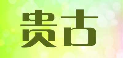 parvenugo是什么牌子_贵古品牌怎么样?