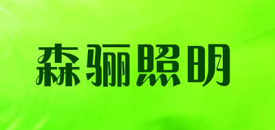 森骊照明是什么牌子_森骊照明品牌怎么样?