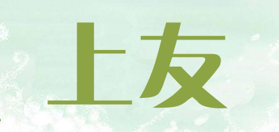 SHANGYOU是什么牌子_上友品牌怎么样?