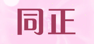 同正是什么牌子_同正品牌怎么样?
