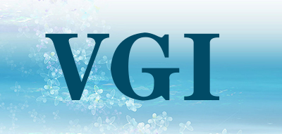 VGI是什么牌子_VGI品牌怎么样?