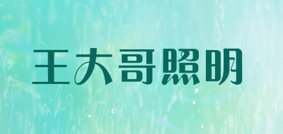 王大哥照明是什么牌子_王大哥照明品牌怎么样?
