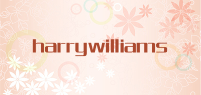 harrywilliams是什么牌子_harrywilliams品牌怎么样?