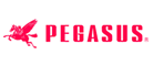 飞马/pegasus