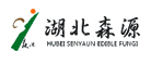 森源是什么牌子_森源品牌怎么样?
