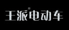王派是什么牌子_王派品牌怎么样?