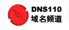 DNS110是什么牌子_域名频道品牌怎么样?
