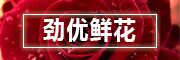 劲优是什么牌子_劲优品牌怎么样?