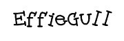 EffieGull是什么牌子_EffieGull品牌怎么样?