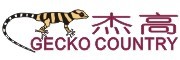 杰高/GECKO