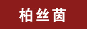 柏丝茵是什么牌子_柏丝茵品牌怎么样?