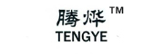 TENGYE是什么牌子_腾烨品牌怎么样?
