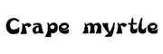 Crapemyrtle是什么牌子_Crapemyrtle品牌怎么样?
