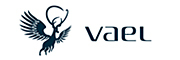 VAEL是什么牌子_VAEL品牌怎么样?