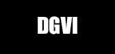 dgvi是什么牌子_dgvi品牌怎么样?