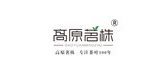 高原茗株是什么牌子_高原茗株品牌怎么样?