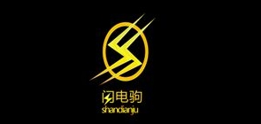闪电驹是什么牌子_闪电驹品牌怎么样?