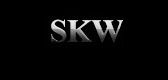 skw影音是什么牌子_skw影音品牌怎么样?