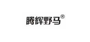 腾辉野马是什么牌子_腾辉野马品牌怎么样?