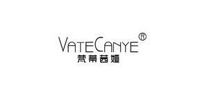 vatecanye服饰是什么牌子_vatecanye服饰品牌怎么样?