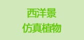 西洋景是什么牌子_西洋景品牌怎么样?