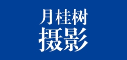 月桂树是什么牌子_月桂树品牌怎么样?