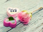 达琳猪是什么牌子_达琳猪品牌怎么样?