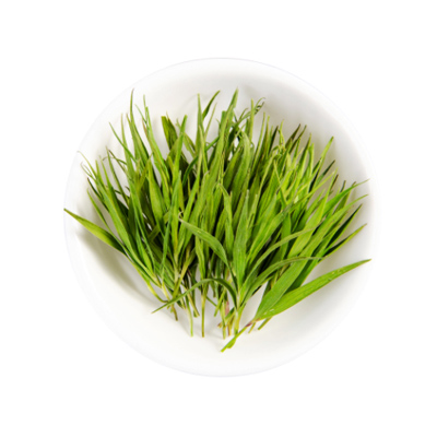 竹叶茶